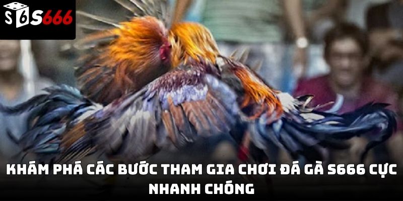 đá gà s666